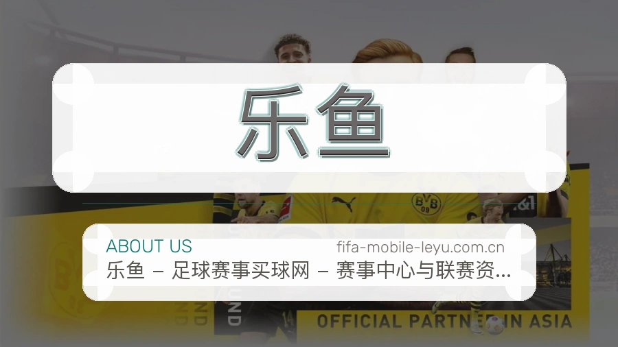 乐鱼赛事服务说明